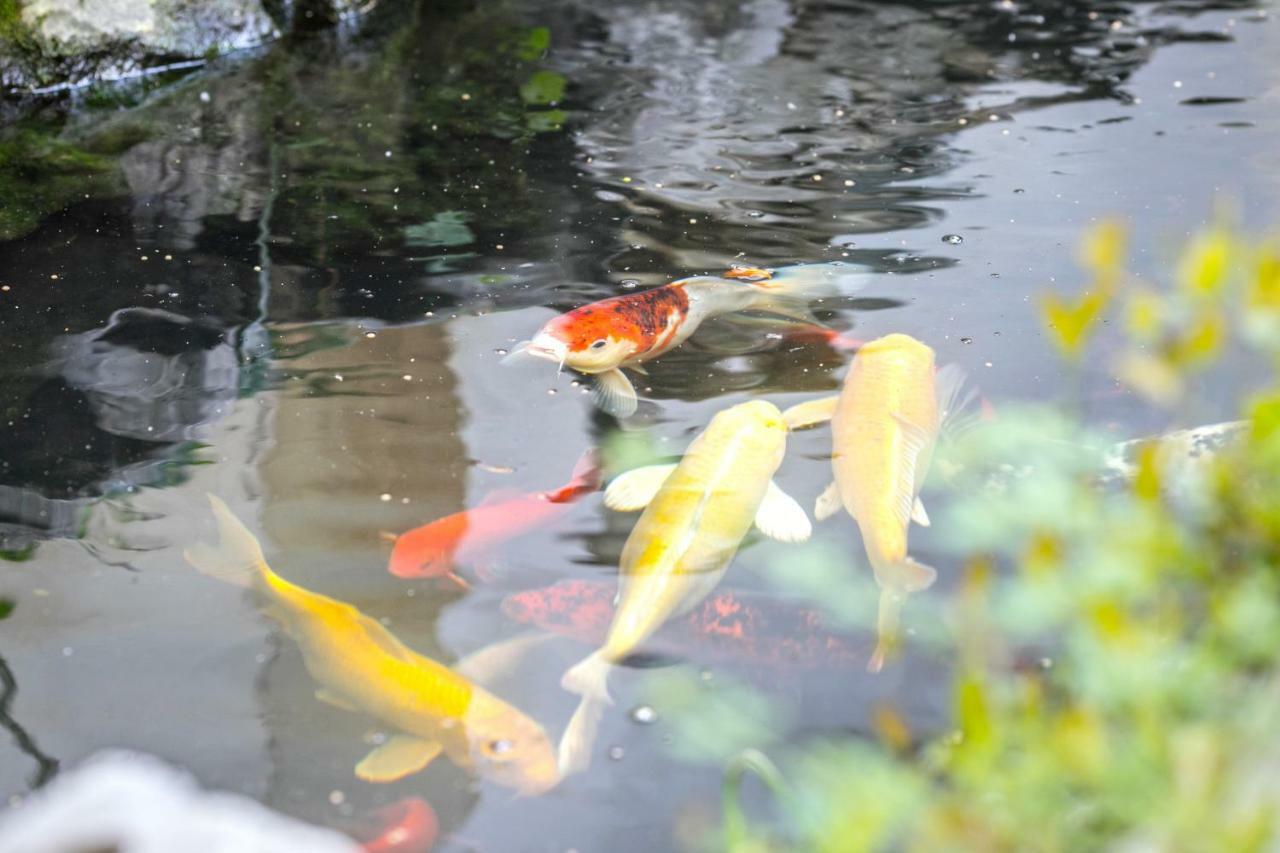 Tongli 1917 Best South Inn Suzhou  Dış mekan fotoğraf